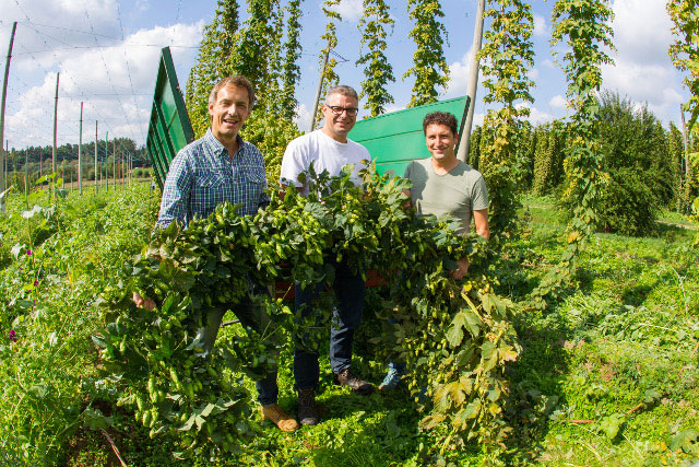 Hopfenernte mit Jeff Maisel